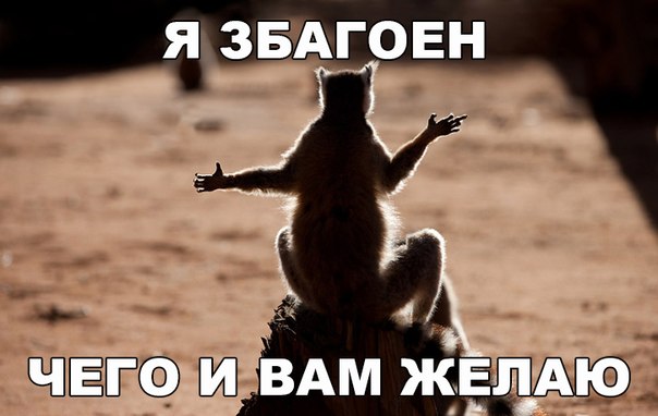 Мохнатые беспредельщики
