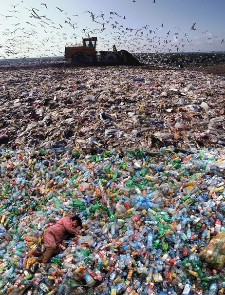 Интересные и веселые картинки