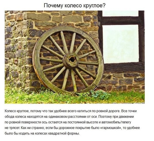 Подборка картинок