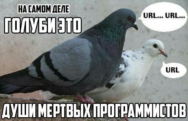 Абсурдный юмор ч.26