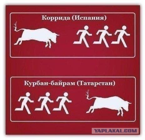 Смешные комментарии из социальных сетей 17.06.2016