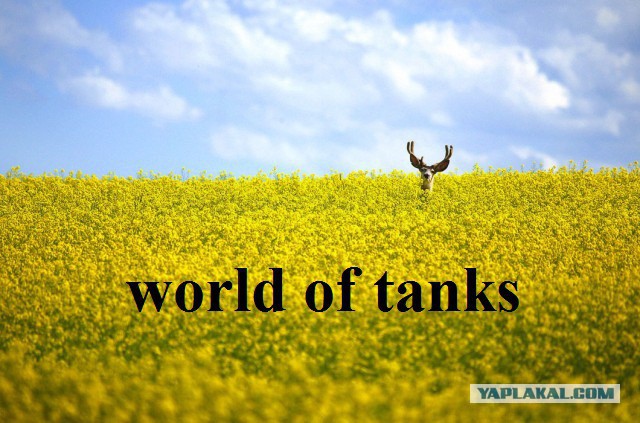 Wargaming 37