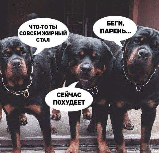 Упоротая пятиминутка