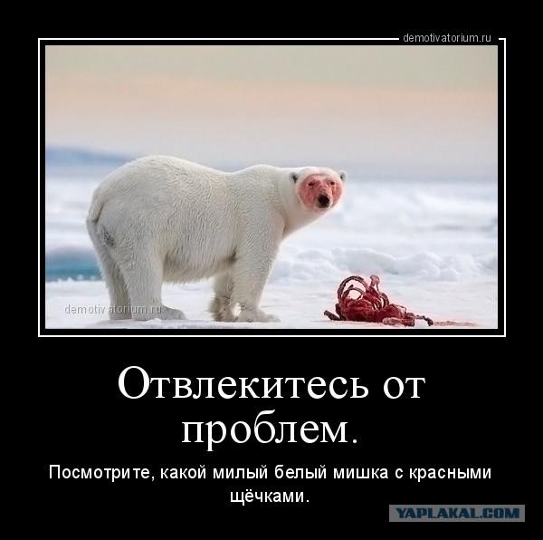 Бухта Драги. Трагедия одной экспедиции