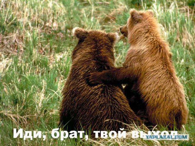 Не полезла бы в телефон- муж бы не ушёл из семьи