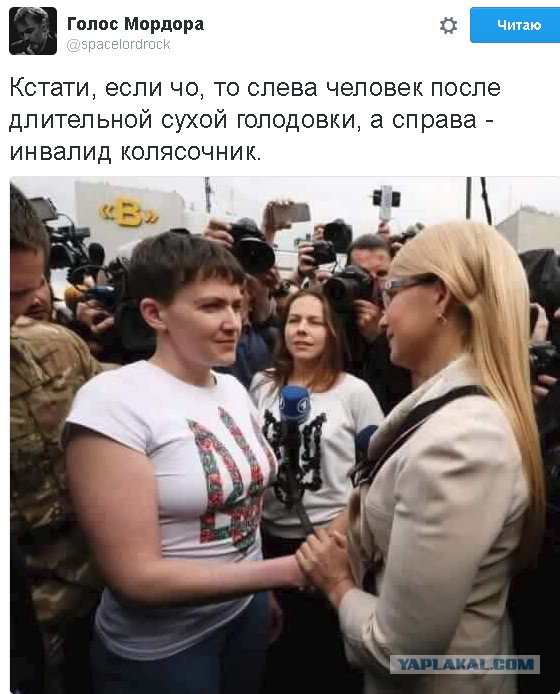 В СПб памятную доску Колчаку завесили плакатом с Волан-де-Мортом