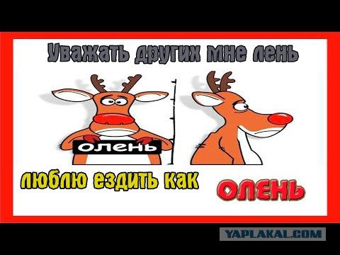 "Учитель" и кирпичи