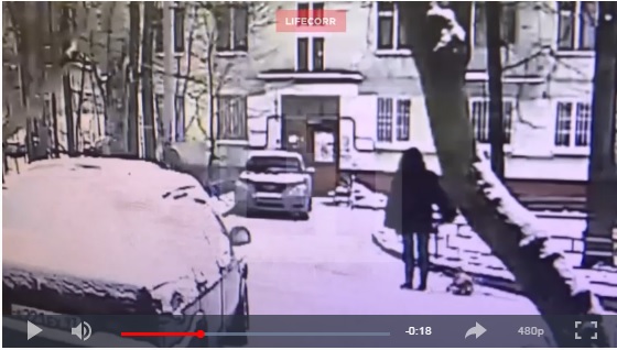 В Москве дерево упало на прохожих