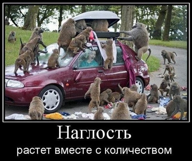 Картинки с сети