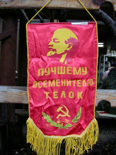 Юмор не для всех