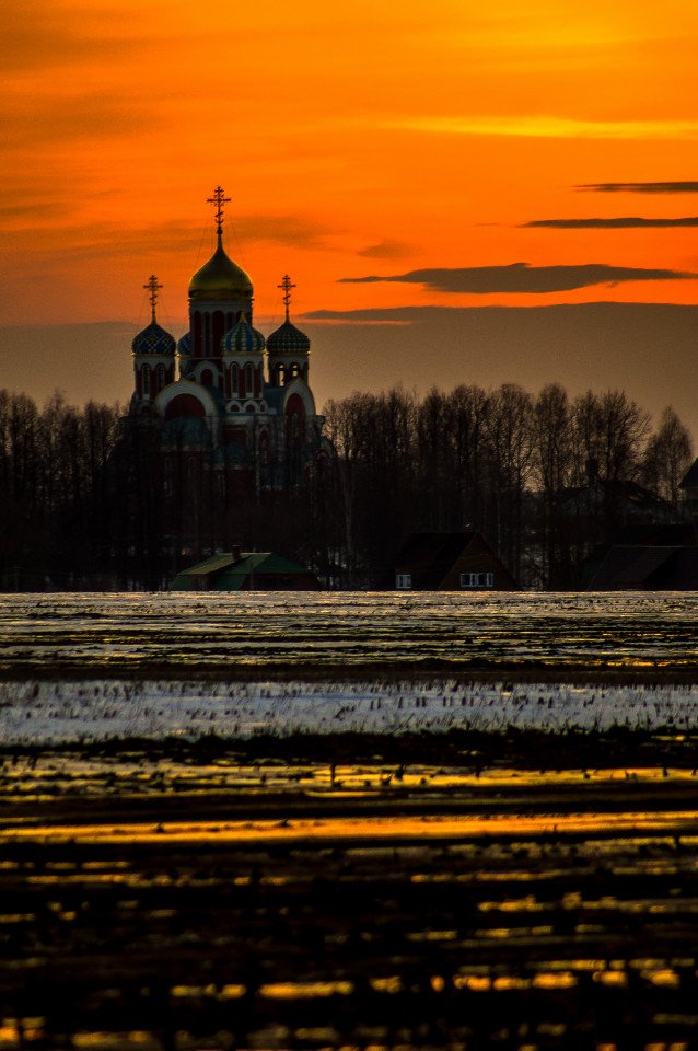 Моменты, запечатлённые на фото и просто позитив 5