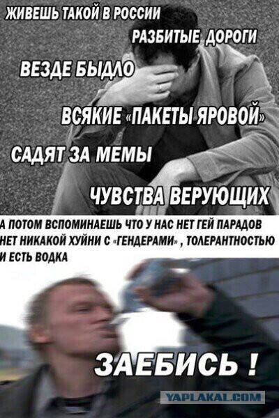 Как вывести коллегу из запоя?