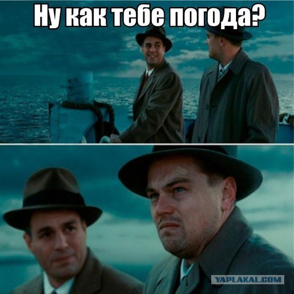 Как построить на даче искусственное болото