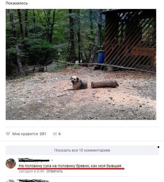 Субботняя деградация