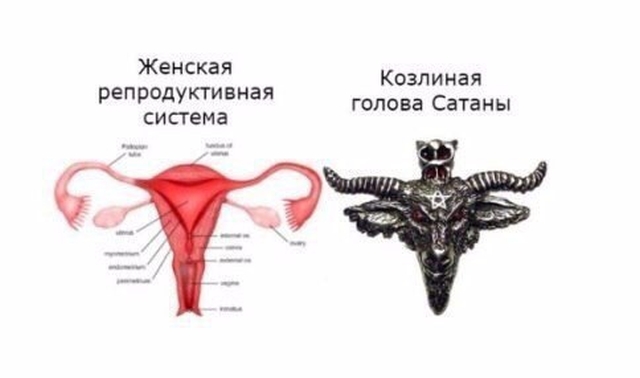 Подборка интересных и веселых картинок