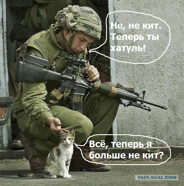 Израильские войска открыли огонь на поражение