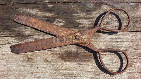 Пермские рыбаки предложили запретить продажу рыболовных сетей