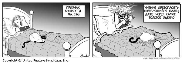 Признаки кошкости