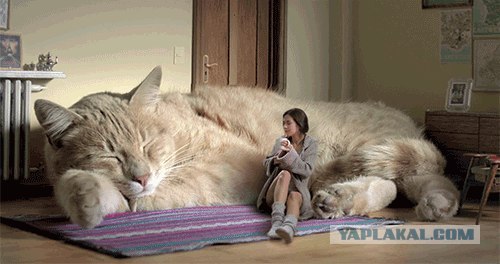Скучные вы