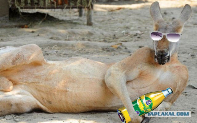 Крошка, иди ко мне