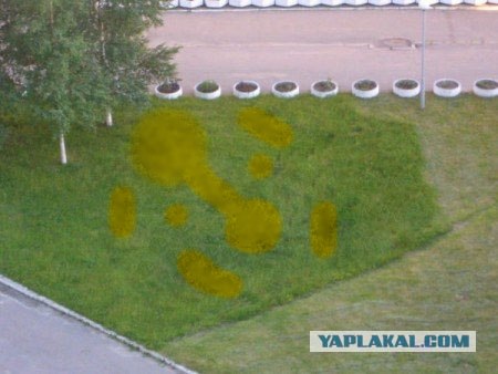 Косить нужно уметь!