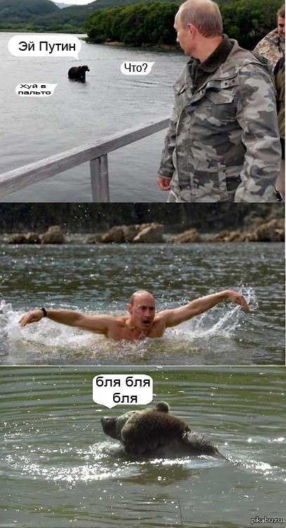 Путин и Шойгу насобирали грибов в тайге