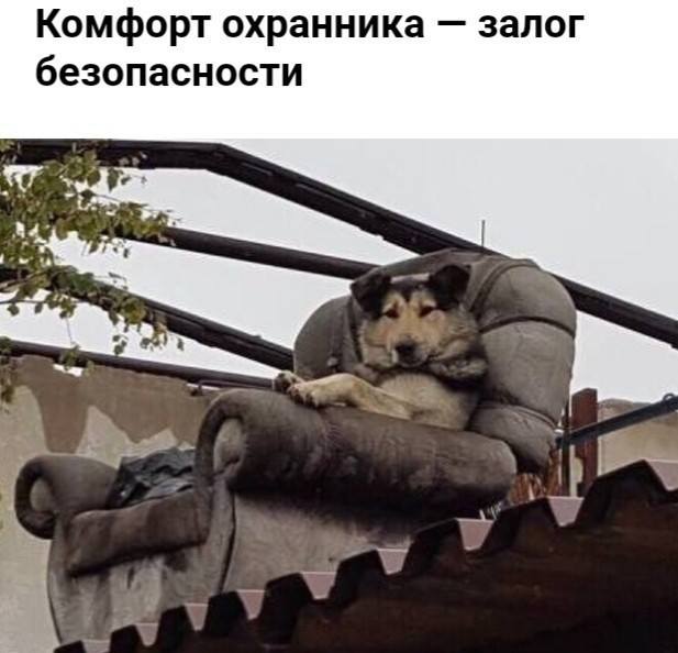 Картинки для улыбнуться 6.0