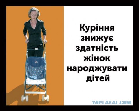 Австралийцы - курите "на здоровье