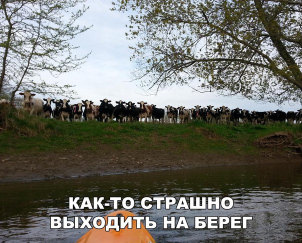 Немного картинок для настроения 26.01.20