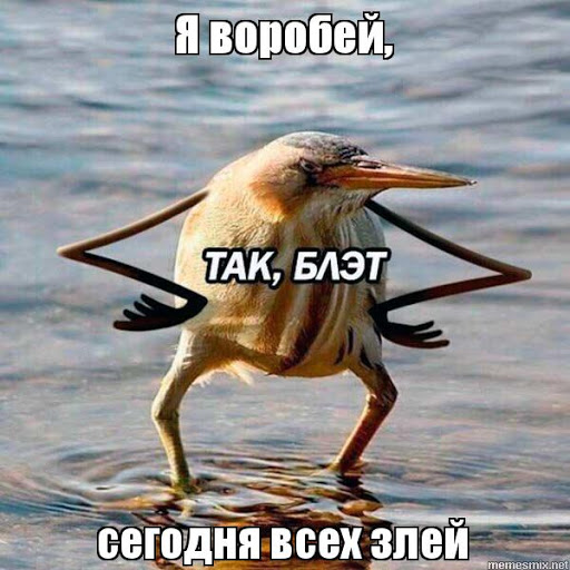 Дрозды пердят, чтобы найти пропитание, а Дарвин ел сову — 12 самых диких фактов о птицах