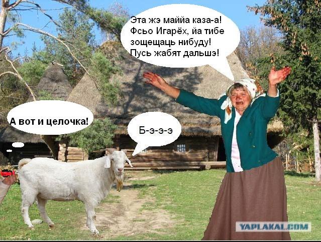 Анкета с сайта знакомств