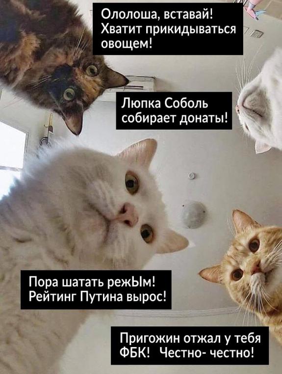 Что произошло с Навальным на самом деле