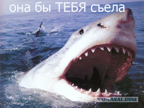 Фотожаба: А ты?