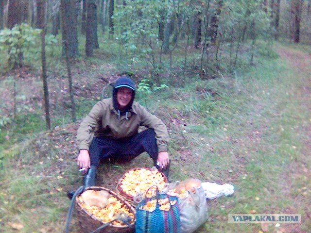Как я ждал это время!
