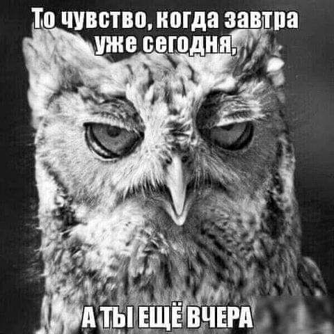 Так себе картинки 21.03.21