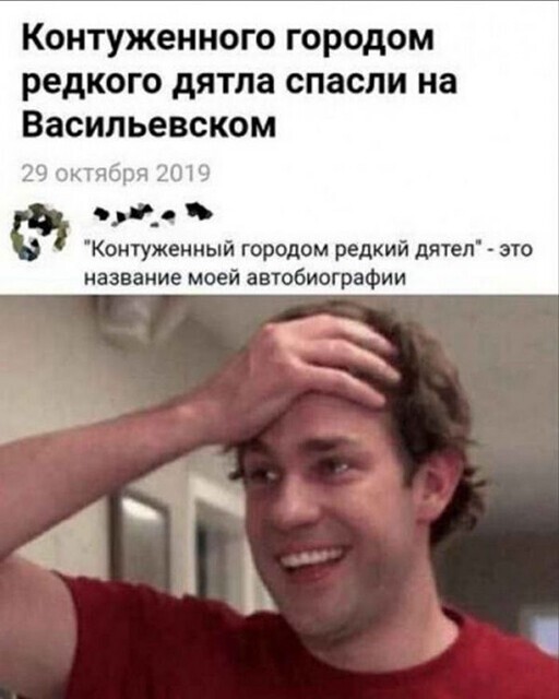Картинки и мемы для настроения 024