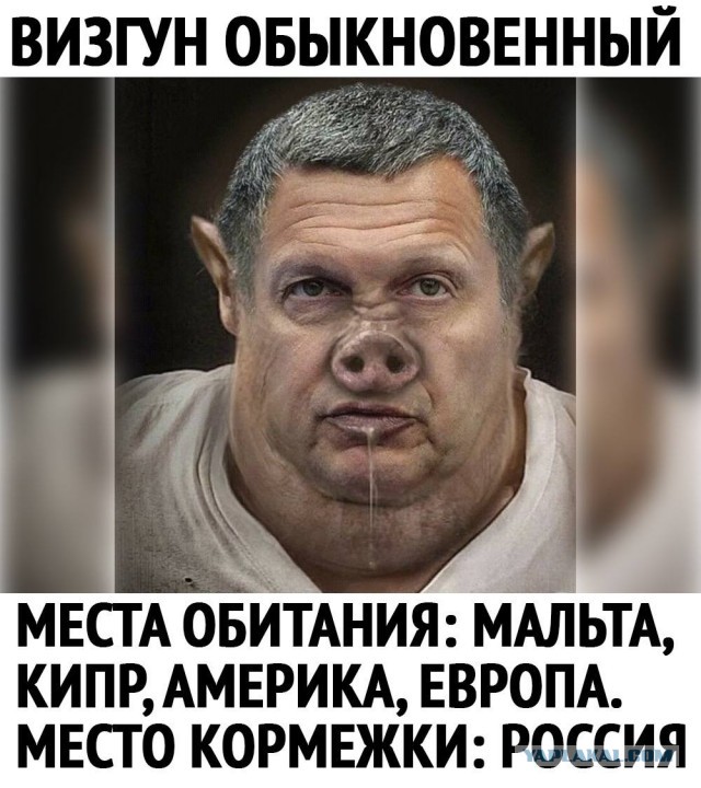 Голосуй, или проиграешь!