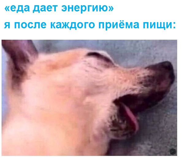 Картинки и мемы для настроения 04.08.2021