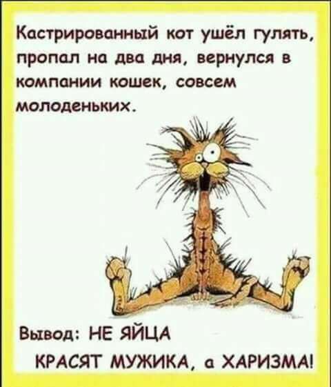 Баянисто-небаянистый юмор 15.08.21
