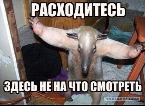 В Бердянске охранник ночного клуба отправил девушку в нокаут