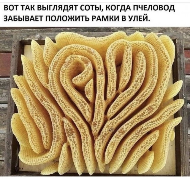 Прикольные и просто красивые картинки 25.08.2021