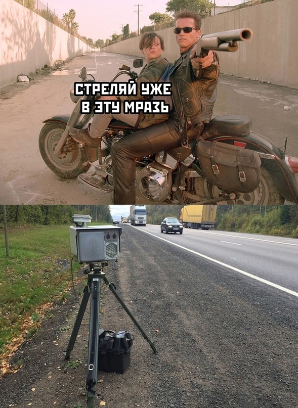 15890780.jpg