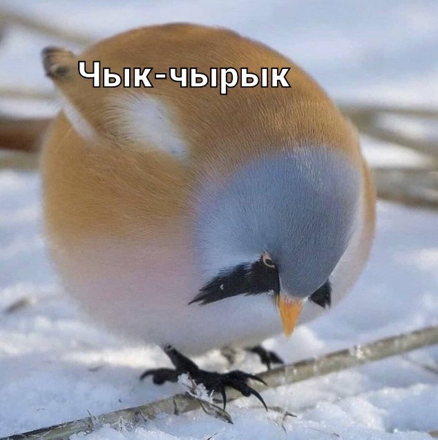 Подборка прикольных картинок