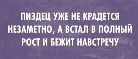 Чуток картинок 17.12.21