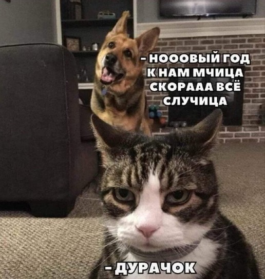 не много грустный , не много злой Новогодний пост