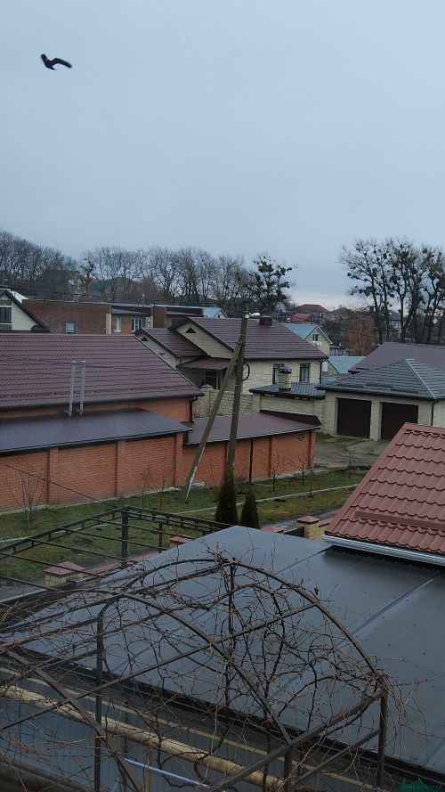 Первое января глазами непьющего человека