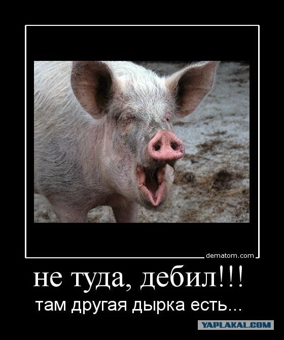 Фигня приходит в полночь, дорогие деграданты