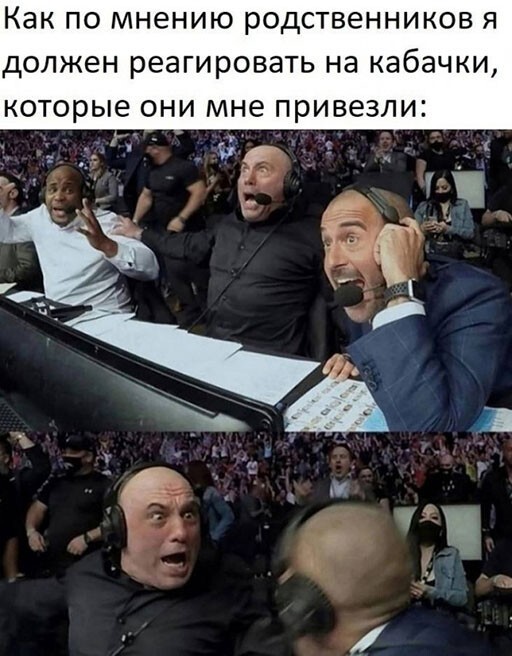 Картинки и мемы для настроения - 15