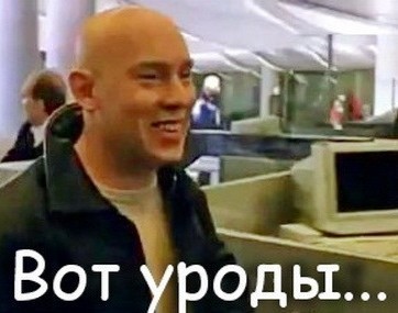 Веганы-активисты в Британии массово дырявили колёса молоковозов