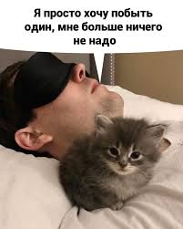 Котовторник 18.10.22